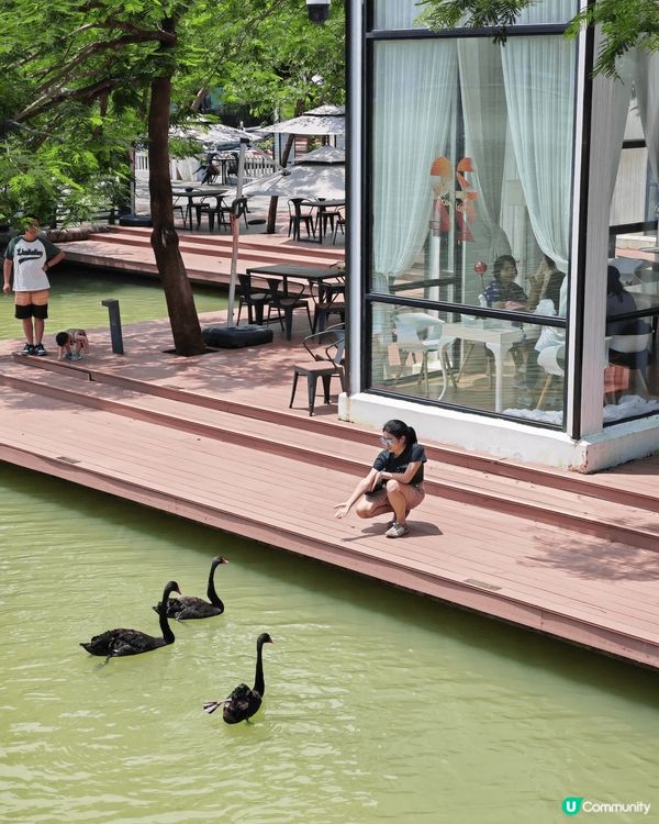 Study Hard and Play Hard