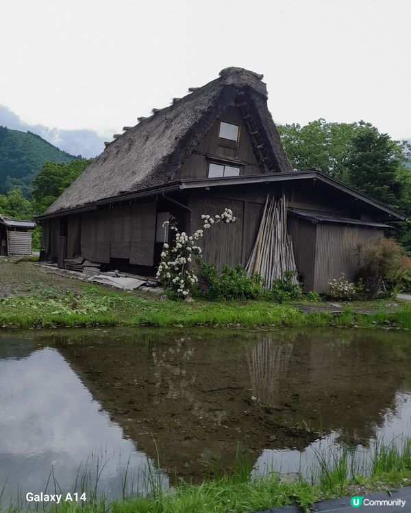 五月份去名古屋，打卡了白川鄉合掌村，還有看到美美的紫陽花。