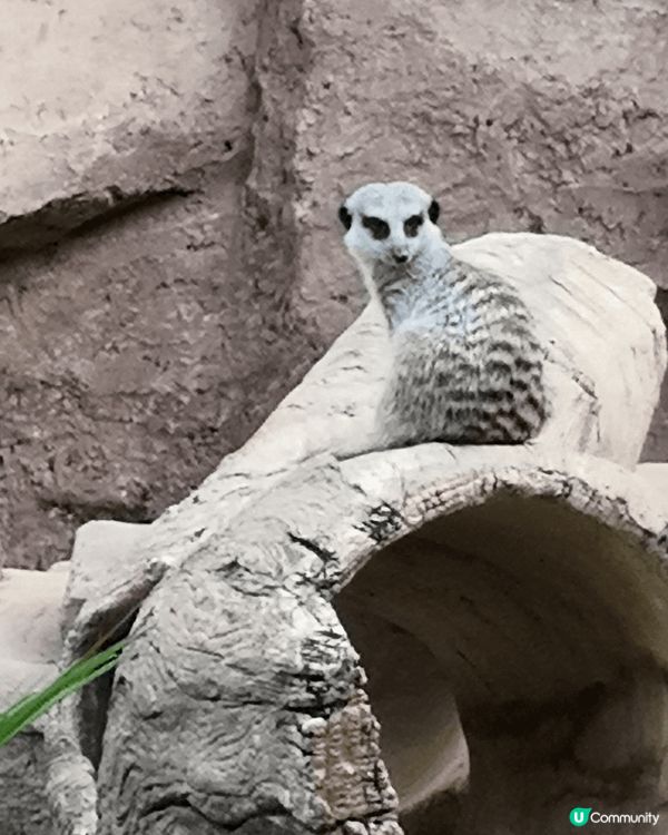 #我想帶走成箱FULKBODY
