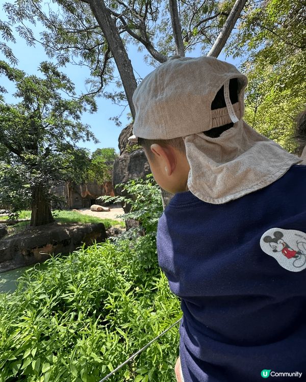 3日2夜既日本之旅，陪伴小朋友去過生日，漫遊日本去動物caf...