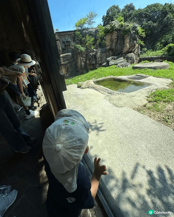 3日2夜既日本之旅，陪伴小朋友去過生日，漫遊日本去動物caf...