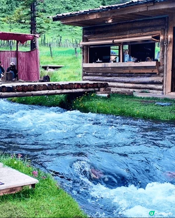 被社群網友介紹的雪山旅遊吸引,今次終於輪到我有幸去川西雅拉雪...