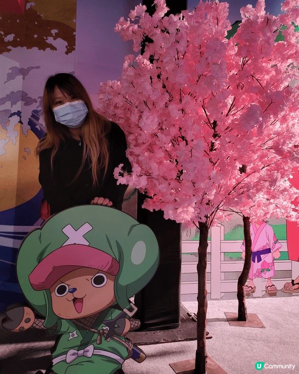 會同女女去AIA嘉年華玩，同屋企人去海洋公園，自己去迪士尼，...