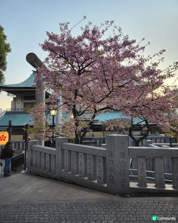 日本勁chill之旅