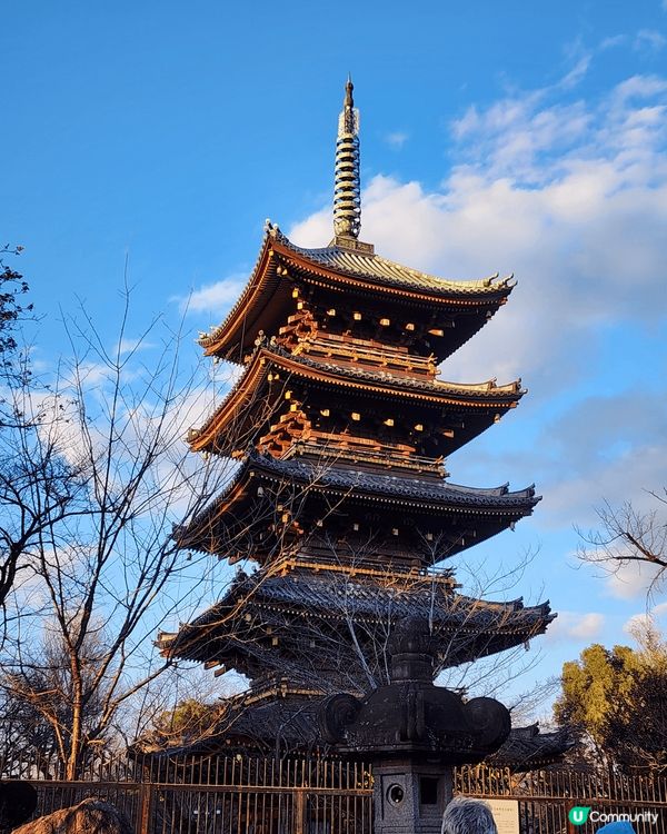 日本勁chill之旅