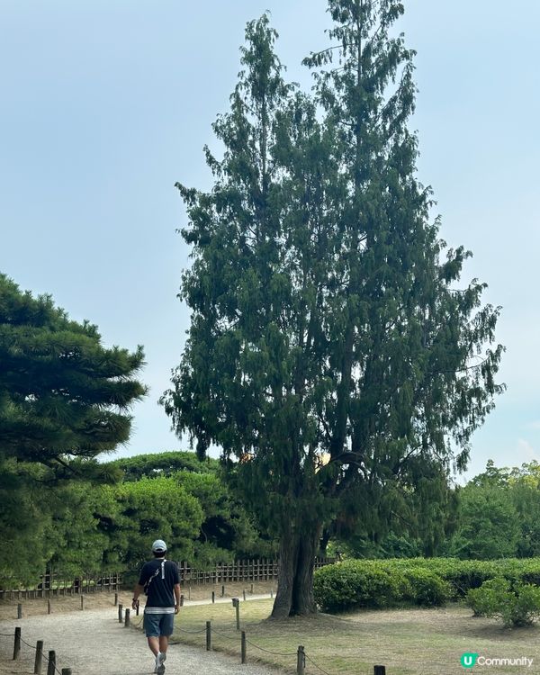 栗林公園🌿米其林三星庭院！江戶時代嘅美！😍