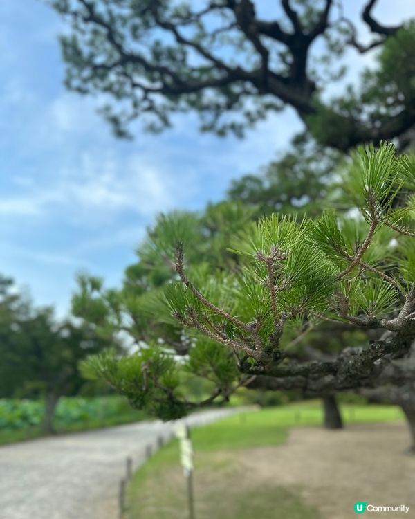 栗林公園🌿米其林三星庭院！江戶時代嘅美！😍