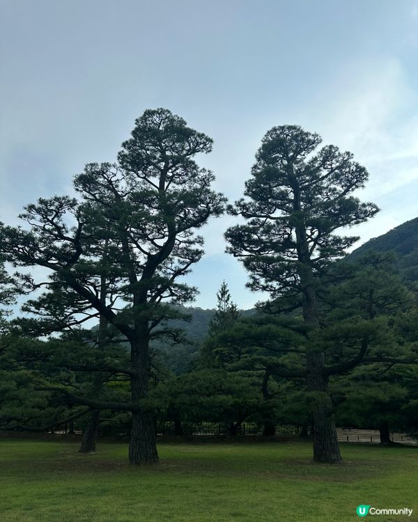 栗林公園🌿米其林三星庭院！江戶時代嘅美！😍