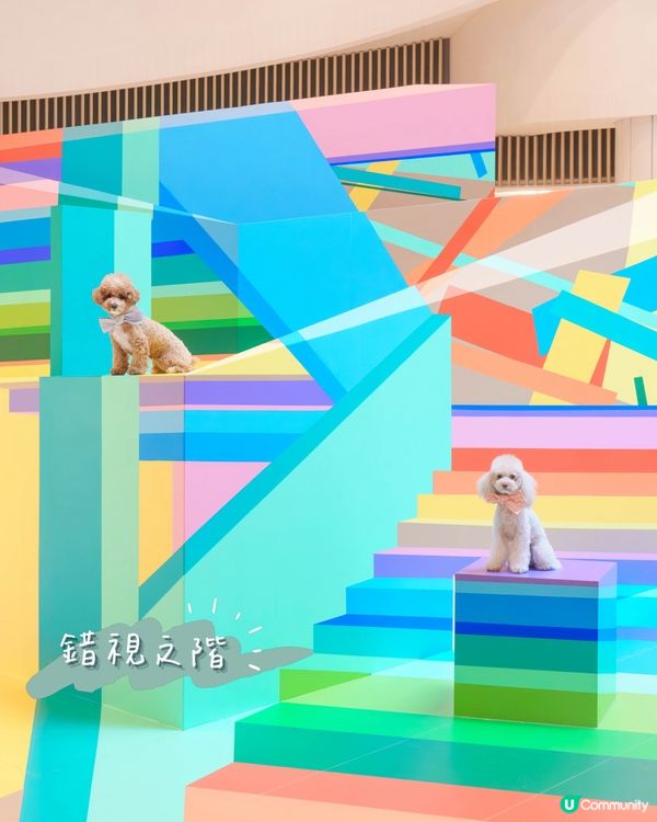 ✨沉浸式藝術體驗來襲!✨