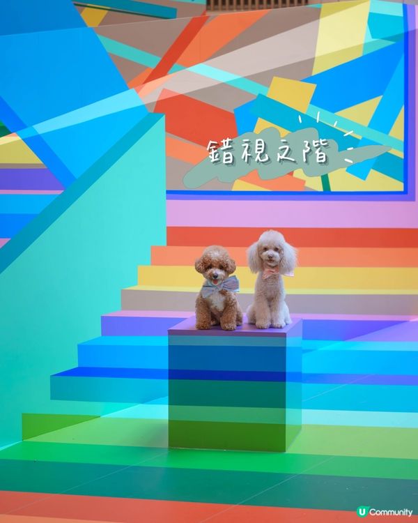 ✨沉浸式藝術體驗來襲!✨