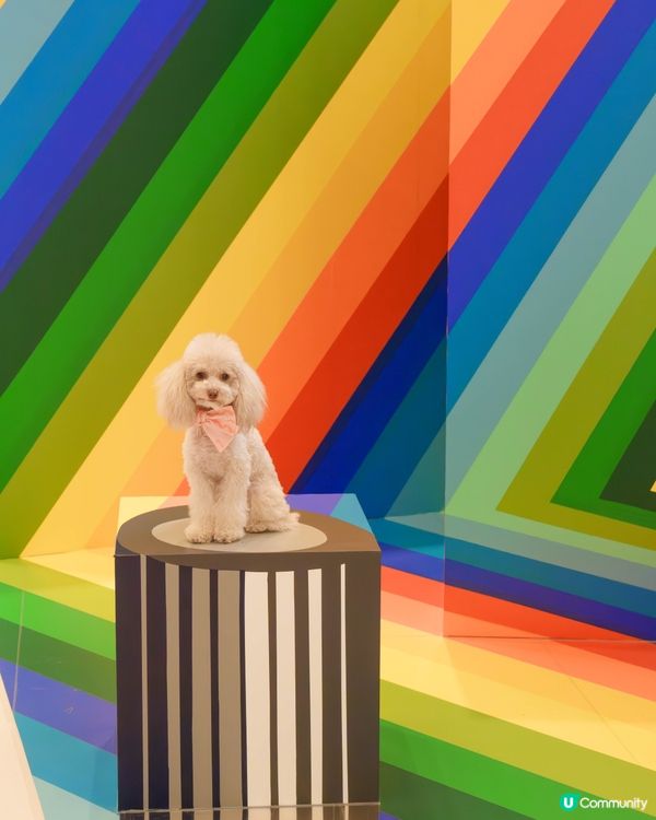 ✨沉浸式藝術體驗來襲!✨