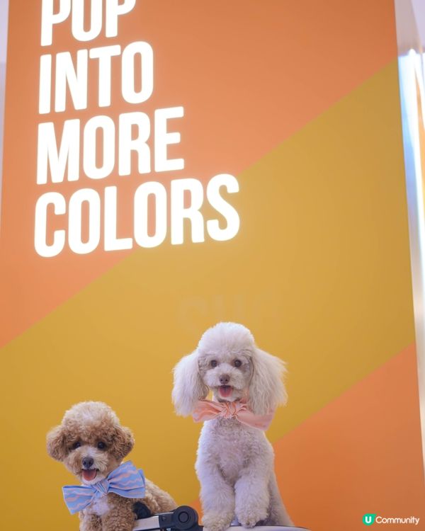 ✨沉浸式藝術體驗來襲!✨