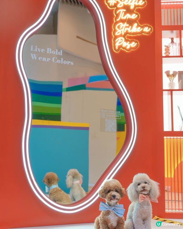 ✨沉浸式藝術體驗來襲!✨