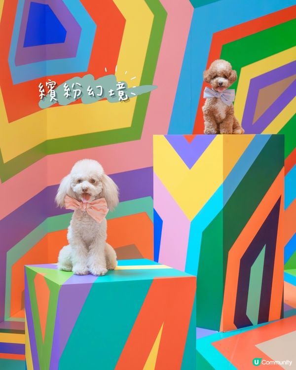 ✨沉浸式藝術體驗來襲!✨