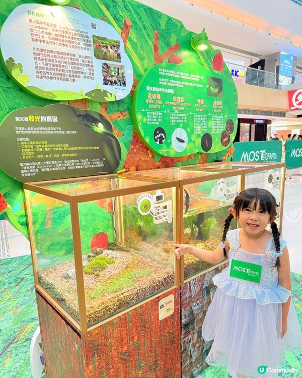 夏日童趣綻放之旅