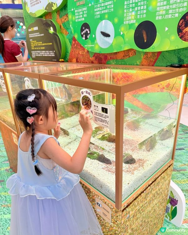 夏日童趣綻放之旅