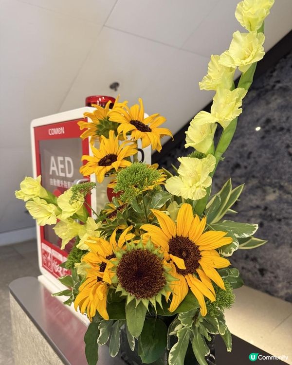 🌻🌻💐Say Hi to this week💐🌻🌻