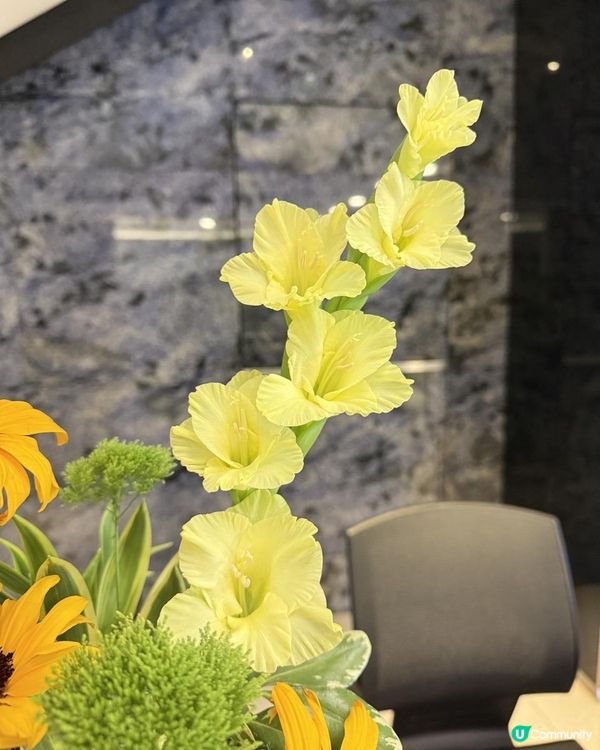 🌻🌻💐Say Hi to this week💐🌻🌻