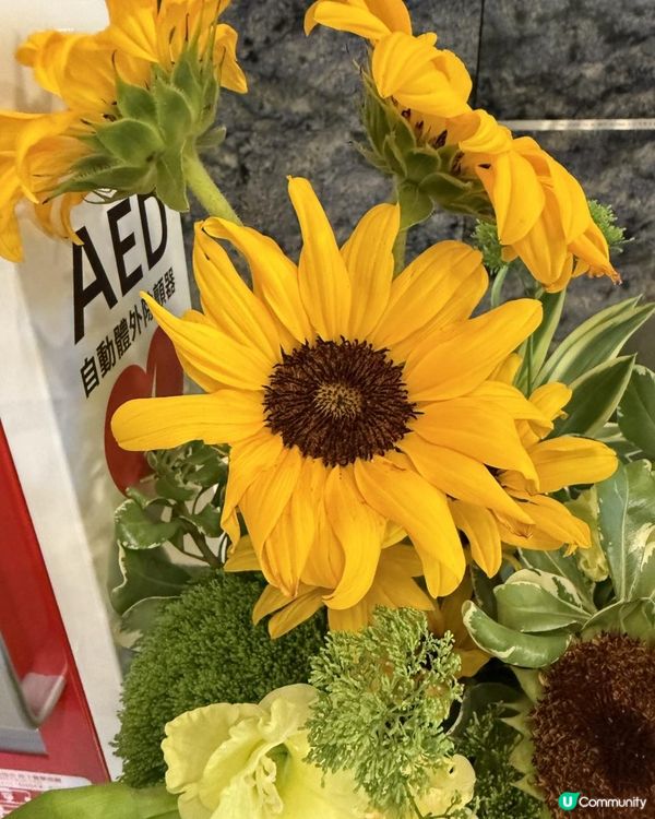 🌻🌻💐Say Hi to this week💐🌻🌻