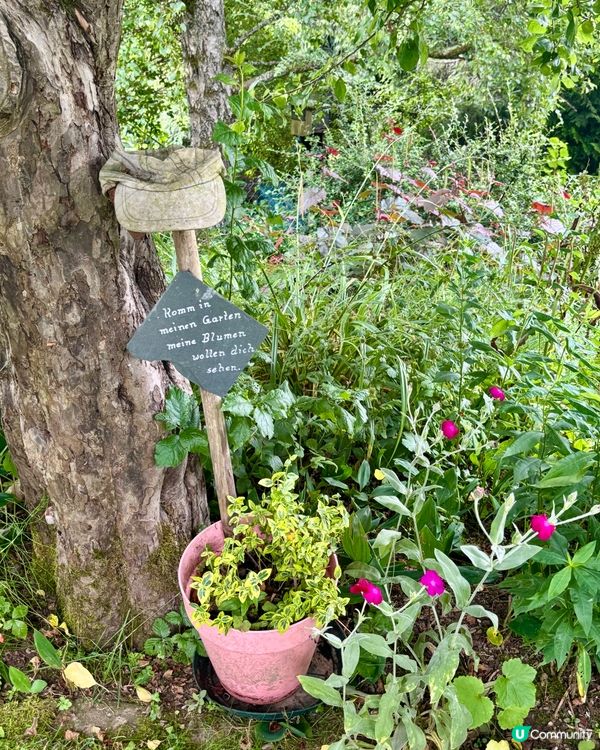 《回到德國避暑山莊》 🌈 🤗