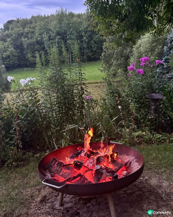 《回到德國避暑山莊》 🌈 🤗