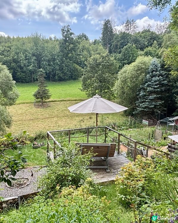 《回到德國避暑山莊》 🌈 🤗