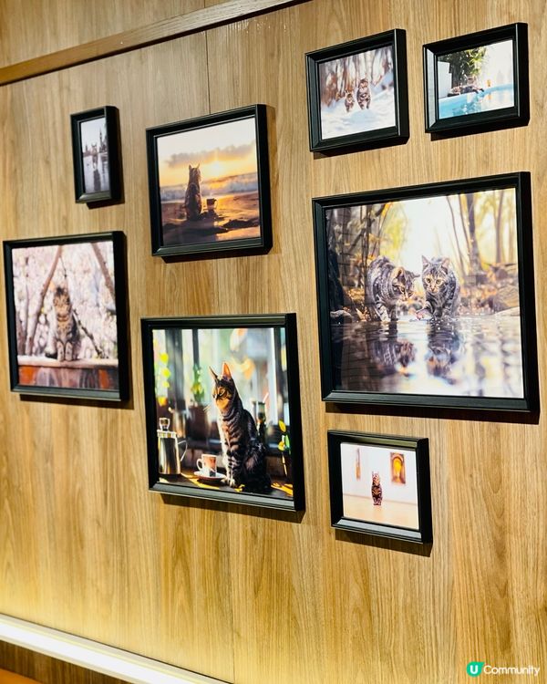 𓂃.𓈒銅鑼灣𓎏ෆ.ᐟ自由配搭的日本蛋包意大利麵𓈒𓂃.