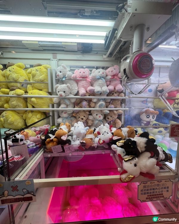 冒險樂園夾夾樂