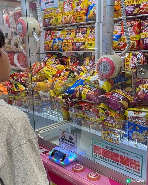 豆豆哥哥放暑假！放電去邊好？🥳