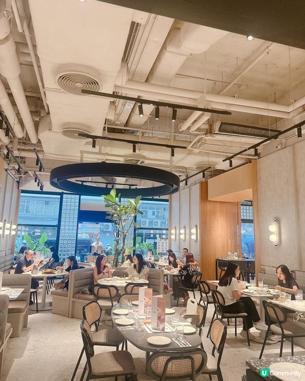 觀塘工業區高CP 親民澳洲菜