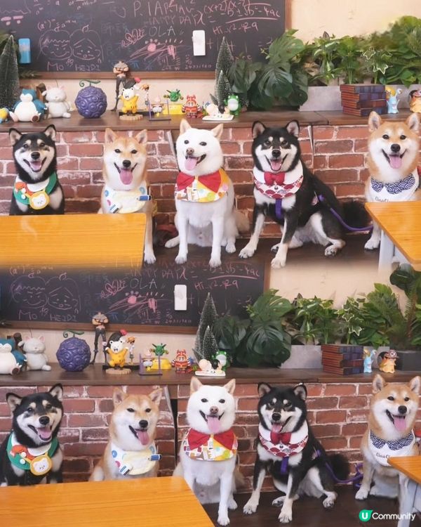 Happy 📁📆 Students ✏️📐