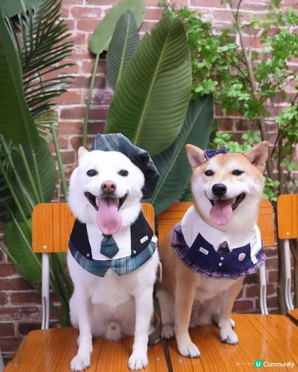 Happy 📁📆 Students ✏️📐