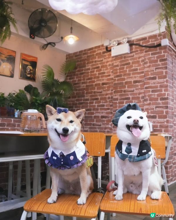 Happy 📁📆 Students ✏️📐