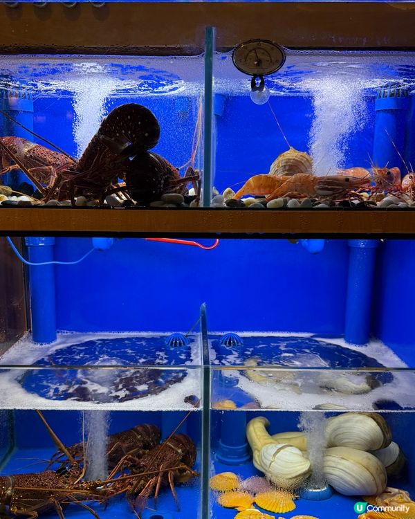 銅鑼灣⭐️生日飯必去！甜品畫碟超驚喜🥳！刺身新鮮😋！ #生日