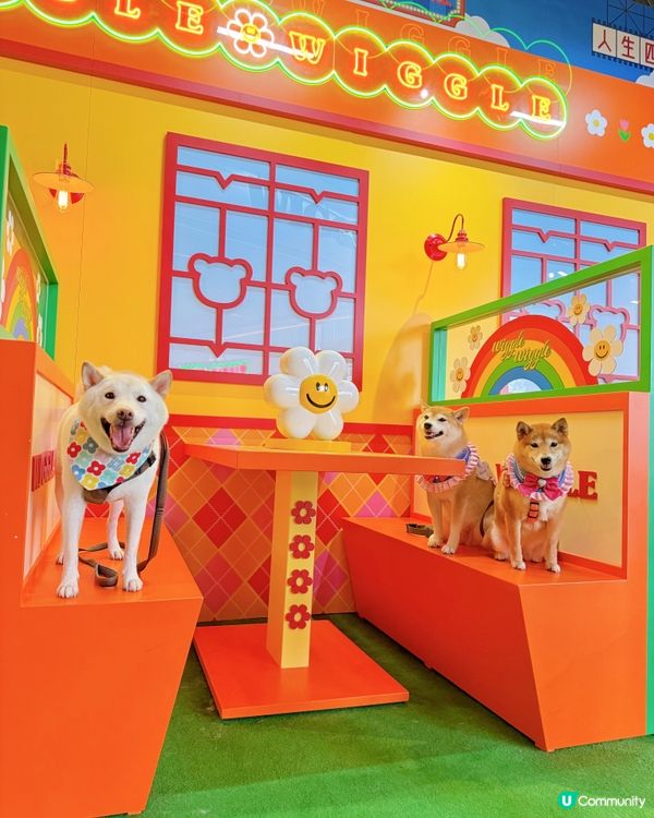 Wiggle Wiggle展正式登陸香港🇭🇰