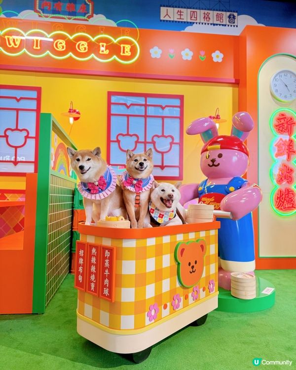 Wiggle Wiggle展正式登陸香港🇭🇰