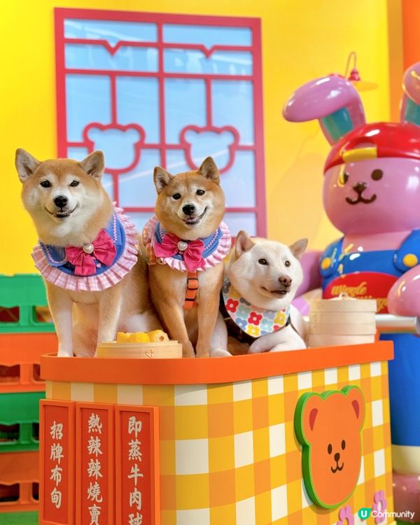 Wiggle Wiggle展正式登陸香港🇭🇰