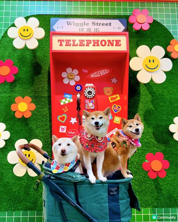 Wiggle Wiggle展正式登陸香港🇭🇰