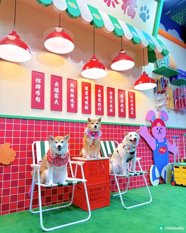 Wiggle Wiggle展正式登陸香港🇭🇰