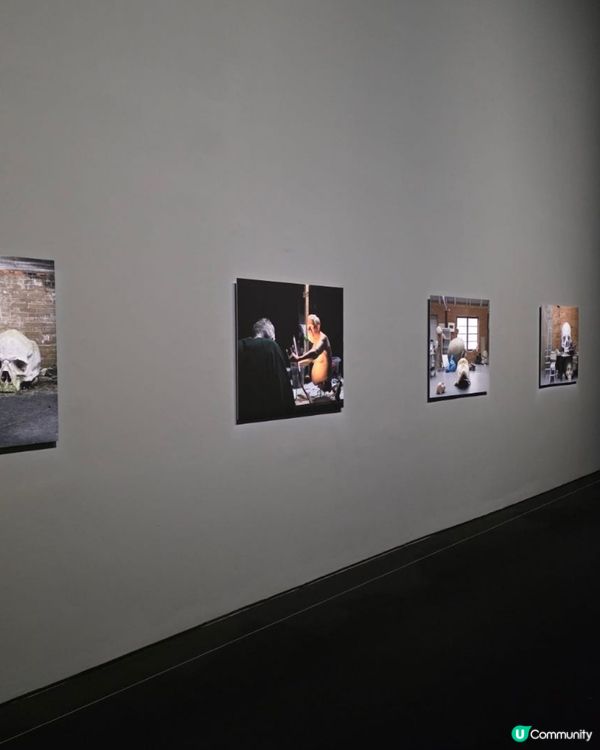 🇰🇷🎨首爾三清洞｜超震撼‼️隆‧繆克超寫實雕塑展覽 