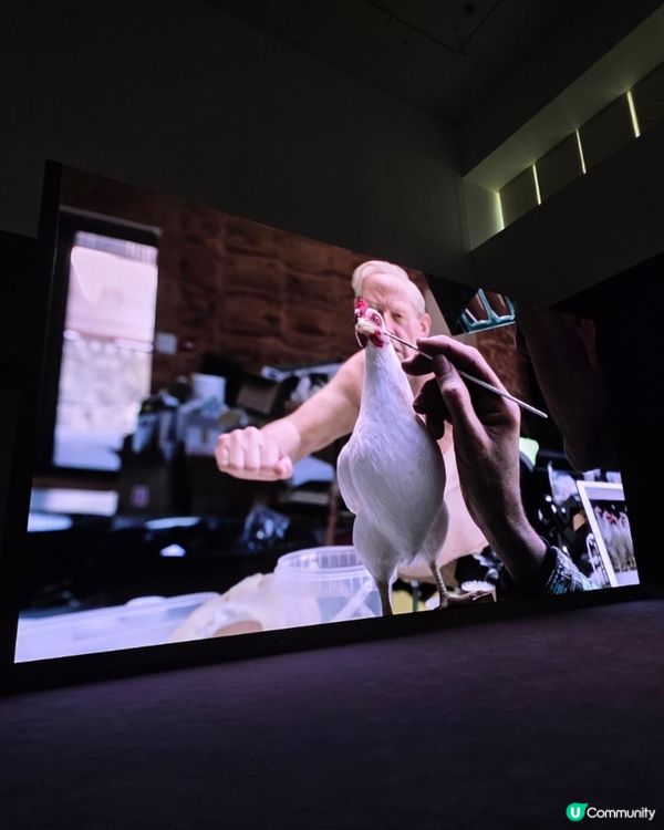 🇰🇷🎨首爾三清洞｜超震撼‼️隆‧繆克超寫實雕塑展覽 