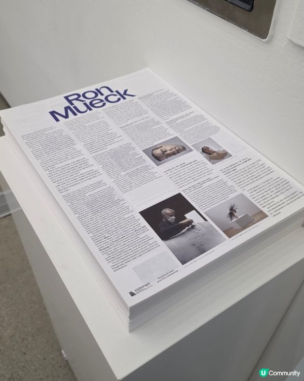 🇰🇷🎨首爾三清洞｜超震撼‼️隆‧繆克超寫實雕塑展覽 