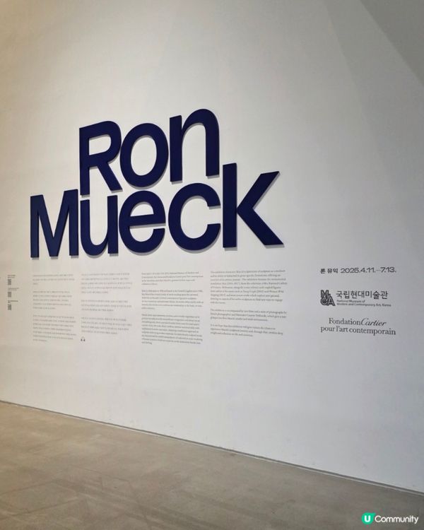 🇰🇷🎨首爾三清洞｜超震撼‼️隆‧繆克超寫實雕塑展覽 