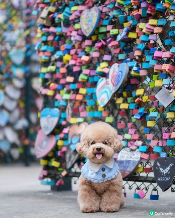 長洲熱門打卡位-愛情鎖🔒❤️