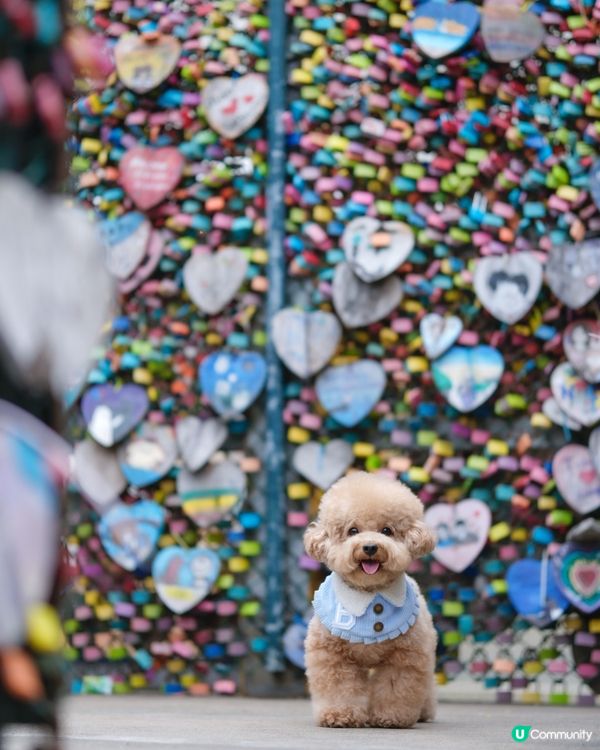 長洲熱門打卡位-愛情鎖🔒❤️