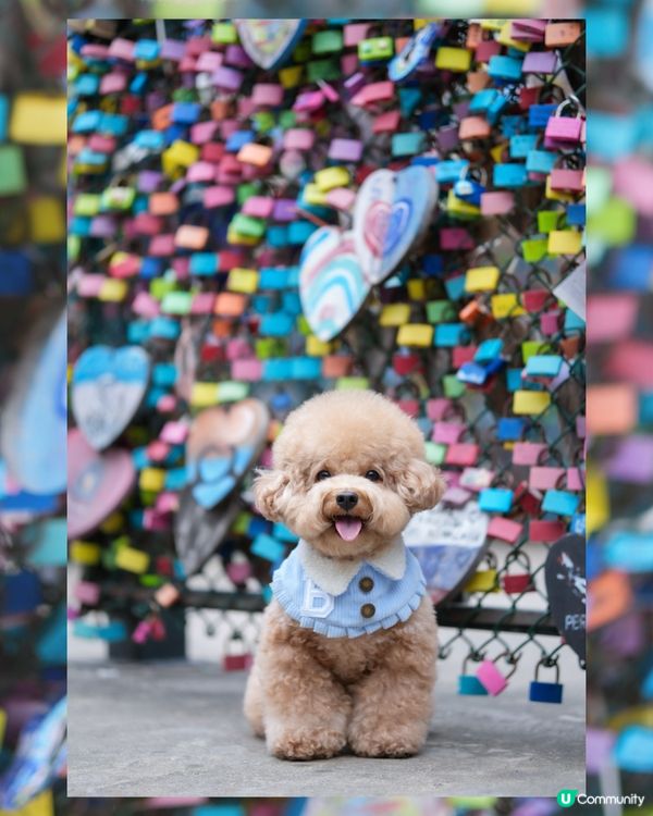 長洲熱門打卡位-愛情鎖🔒❤️