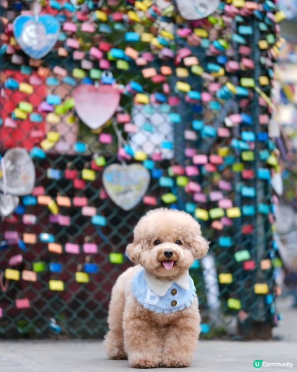 長洲熱門打卡位-愛情鎖🔒❤️