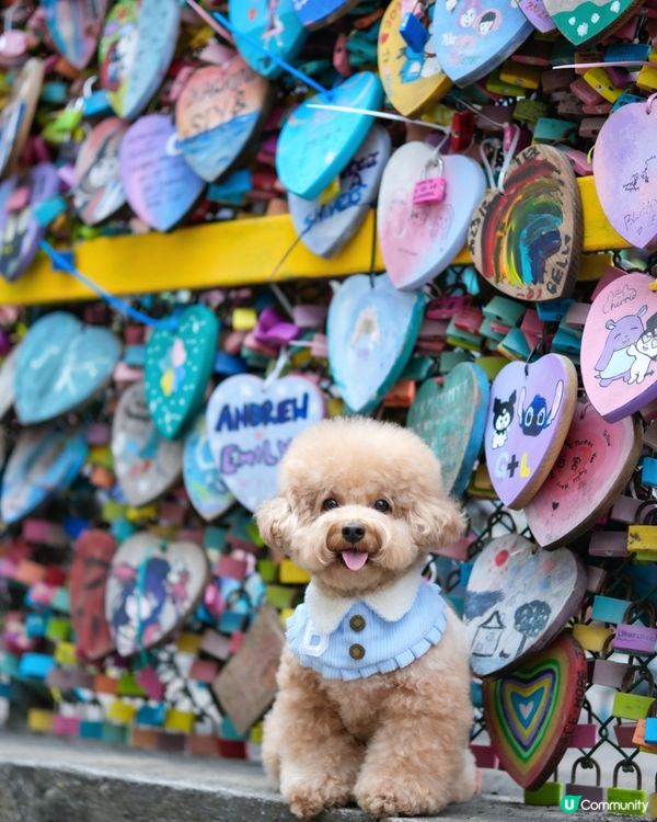 長洲熱門打卡位-愛情鎖🔒❤️