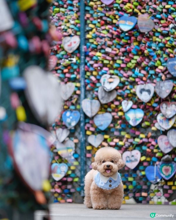 長洲熱門打卡位-愛情鎖🔒❤️