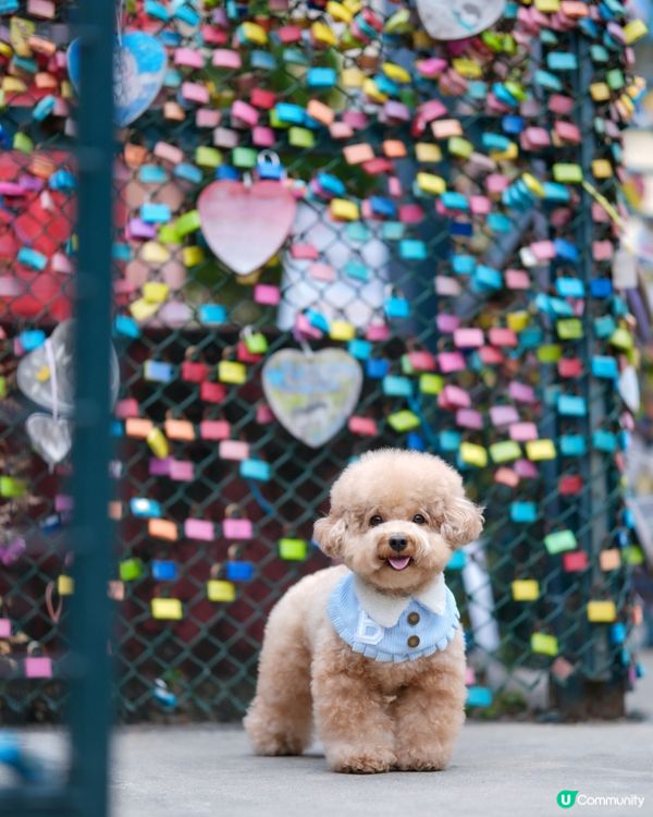 長洲熱門打卡位-愛情鎖🔒❤️